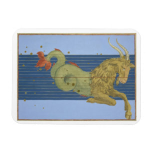Constellatie van Capricorn uit "Uranometria" door Magneet