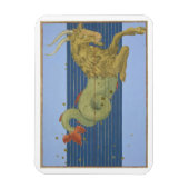 Constellatie van Capricorn uit "Uranometria" door Magneet (Verticaal)