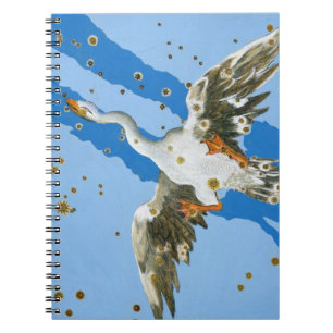 Constellatie van Cygnus, van "Uranometria", geschr Notitieboek