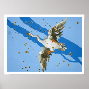 Constellatie van Cygnus, van "Uranometria", geschr Poster