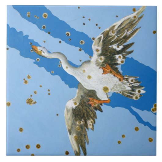 Constellatie van Cygnus, van "Uranometria", geschr Tegeltje (Voorkant)