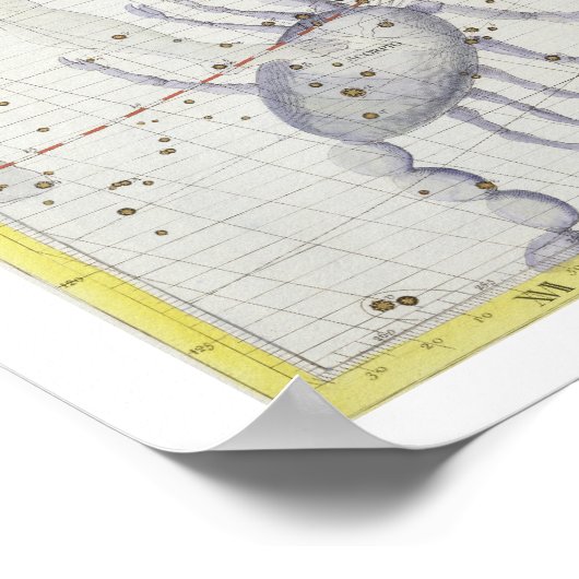 Constellatie van de Libra, bord 7 van 'Atlas Coele Poster (Hoek)