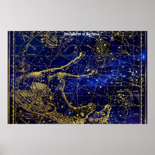 Constellatie van de paarden poster (Voorkant)