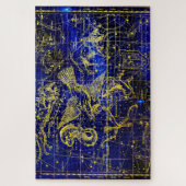 Constellatie van Delphinus Legpuzzel (Verticaal)