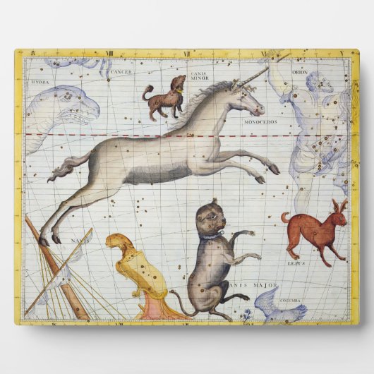 Constellatie van Monoceros met Canis Major en Mi Fotoplaat (Voorkant)