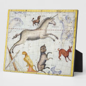 Constellatie van Monoceros met Canis Major en Mi Fotoplaat (Zijkant)