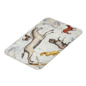 Constellatie van Monoceros met Canis Major en Mi Magneet (Linkerzijde)