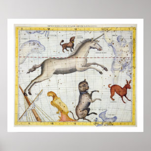 Constellatie van Monoceros met Canis Major en Mi Poster