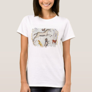 Constellatie van Monoceros met Canis Major en Mi T-shirt