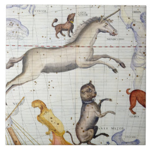 Constellatie van Monoceros met Canis Major en Mi Tegeltje