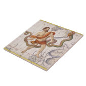 Constellatie van Ophiucus en Serpens, bord 22 fr Tegeltje (Zijkant)