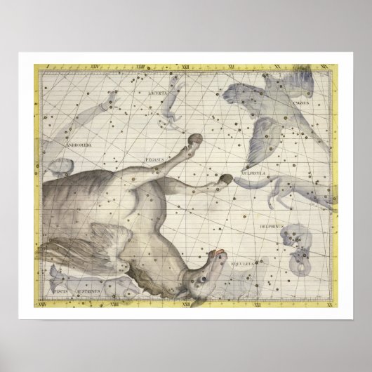 Constellatie van Pegasus, bord 25 uit Atlas Coe Poster (Voorkant)