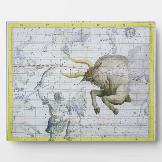 Constellatie van Taurus, bord 2 van 'Atlas Coele' Fotoplaat (Voorkant)
