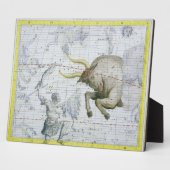 Constellatie van Taurus, bord 2 van 'Atlas Coele' Fotoplaat (Zijkant)