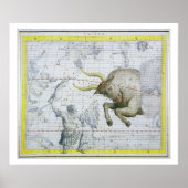 Constellatie van Taurus, bord 2 van 'Atlas Coele' Poster (Voorkant)