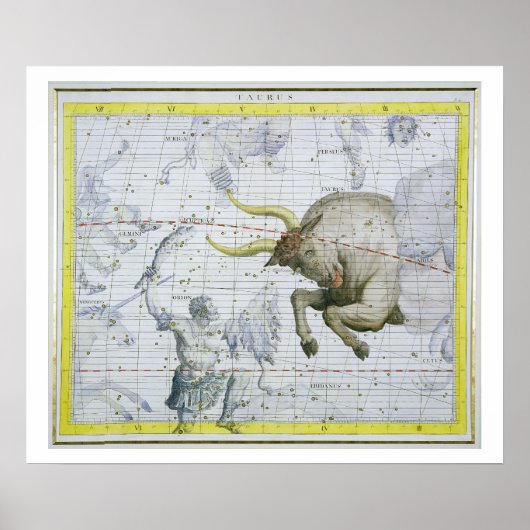 Constellatie van Taurus, bord 2 van 'Atlas Coele' Poster (Voorkant)