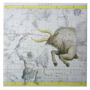 Constellatie van Taurus, bord 2 van 'Atlas Coele' Tegeltje