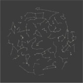 Constellaties op het noordelijk halfrond sticker (Voorkant)