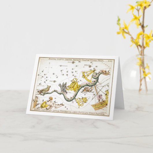 Constellaties - sterren - Klassieke astronomie Kaart (Gele Bloem)