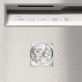 Constellaties van het zuidelijk halfrond magneet (Insitu (Vaatwasser))
