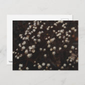 "Constellation Bosque" Briefkaart (Voorkant / Achterkant)