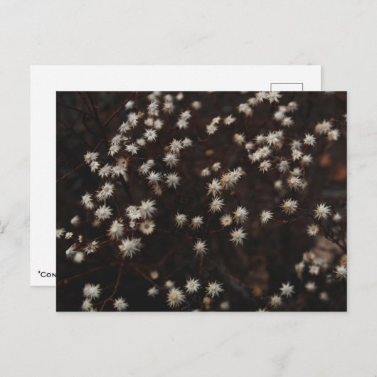 "Constellation Bosque" Briefkaart (Voorkant / Achterkant)