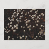 "Constellation Bosque" Briefkaart (Voorkant)