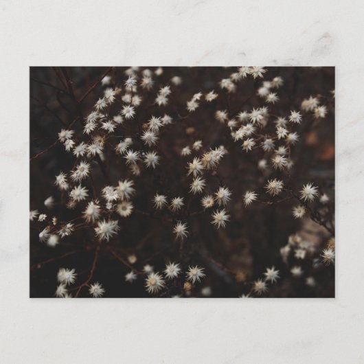 "Constellation Bosque" Briefkaart (Voorkant)