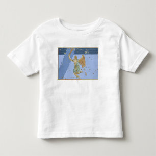 Constellation of Orion, van "Uranometria" door Joh Kinder Shirts