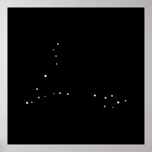 Constellation Pisces van Leslie Peppers Poster