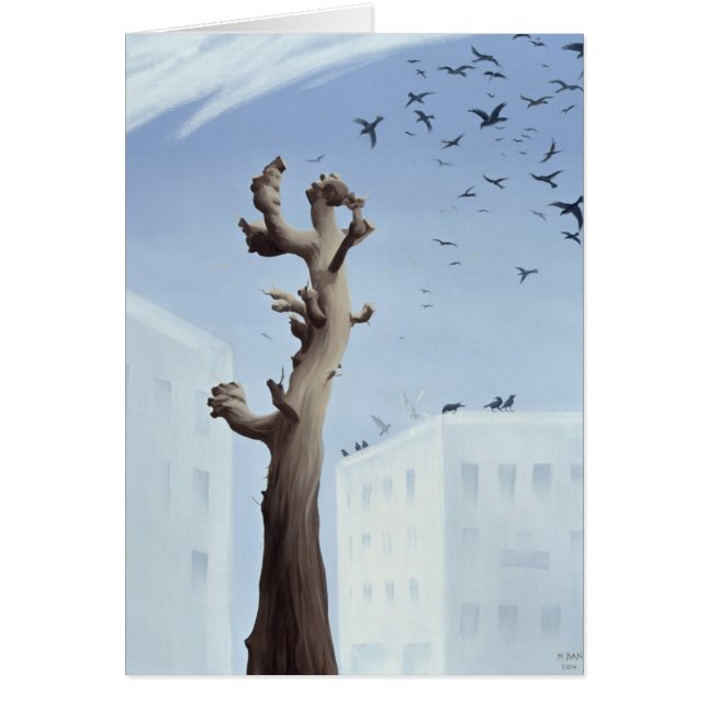 Consternatie 2004 (Voorkant)