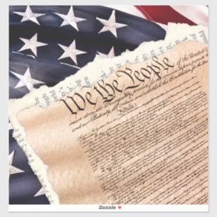 Constitutie Vinyl Sticker