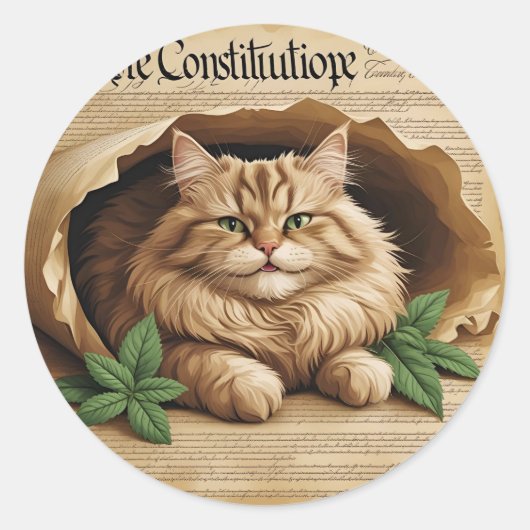 Constitution & Catnip – Patriotic Cat Sticker (Voorkant)