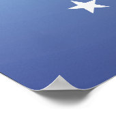 Constitutionele Partij t-shirt Poster (Hoek)