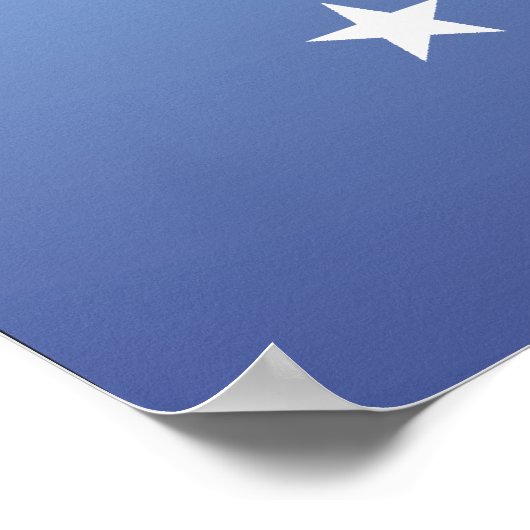 Constitutionele Partij t-shirt Poster (Hoek)