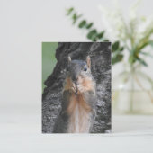 Contact houden | Grappige Schattigee Eekhoorn Briefkaart (Staand voorkant)