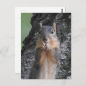 Contact houden | Grappige Schattigee Eekhoorn Briefkaart (Voorkant / Achterkant)