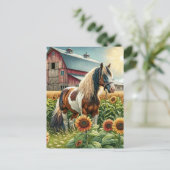 Contact houden |  paard op rustiek Boerderij Briefkaart (Staand voorkant)