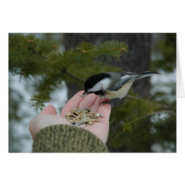 Contactpersoon (Voorkant Horizontaal)