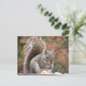 Contante eekhoorn briefkaart (Staand voorkant)