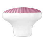 Contemhedendaags gepaasd Seashell Soft Roze Keramische Knop (Zijkant)