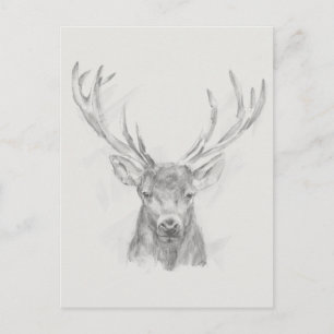 Contemmodern Elk Sketch Briefkaart