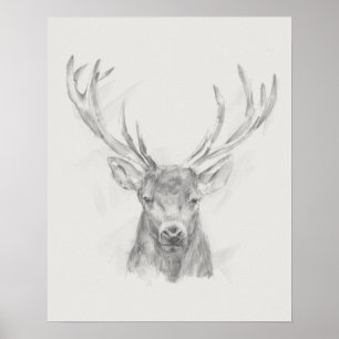 Contemmodern Elk Sketch Poster