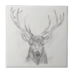 Contemmodern Elk Sketch Tegeltje<br><div class="desc">Het hedendaagse Elk Sketch II van Ethan Harper. Kenmerkt het portret van een elk geschetst in potlood.</div>