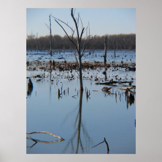 Contemplatie van reflectie poster (Voorkant)