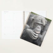 contemplatieve chimpansee planner (Display)