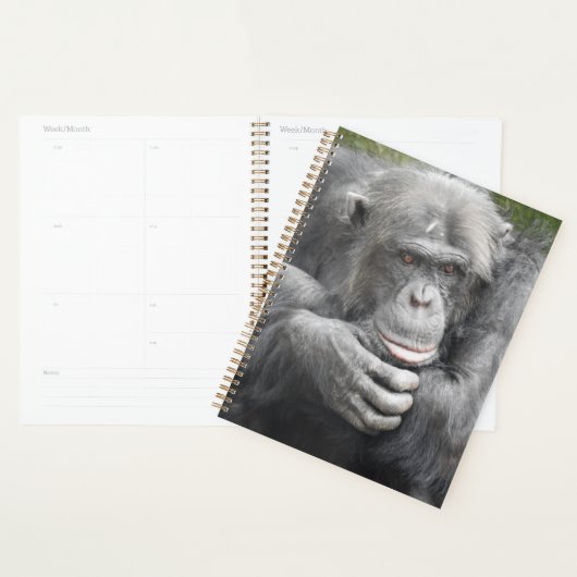 contemplatieve chimpansee planner (Display)