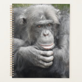contemplatieve chimpansee planner (Voorkant)