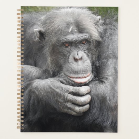 contemplatieve chimpansee planner (Voorkant)