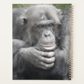 contemplatieve chimpansee planner (Achterkant)